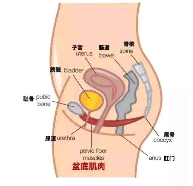 代怀妈妈多少钱_代怀孕哪家最靠谱,广西供卵代怀生子需要多少钱?附2026
广西试