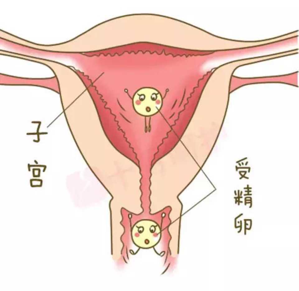 南昌三代试管费用选男女_供卵试管成功率是多少_试管婴儿各个环节疼痛指数大