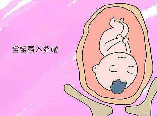 2026南昌生殖医院试管成功率,南昌第一医院试管婴儿科普知识导航