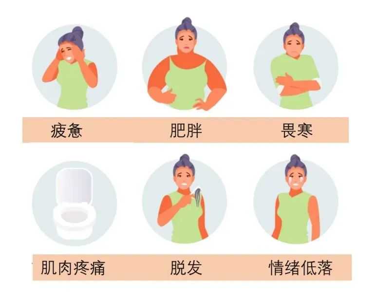 北京找人代怀宝宝,北京试管婴儿费用
