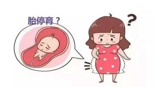 南昌供卵正规代怀|辅助生殖是什么意思？南昌供卵试管中心助您受孕