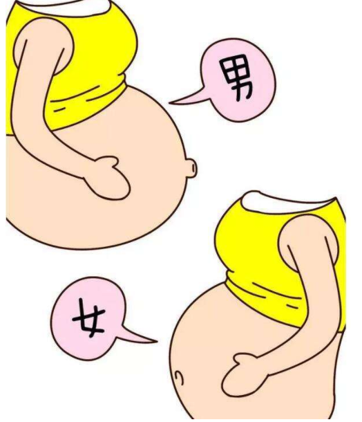 影响南昌大学第一附属医院借卵生男孩成功率的因素有：卵子质量，精子质量，