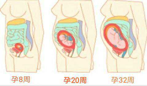 辽阳供卵代怀孕三代试管包儿子