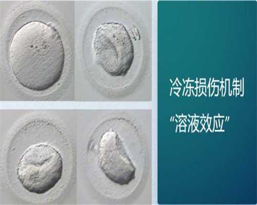 南昌大学南昌医院试管成功率是多少?,南昌第三代试管成功率高吗?