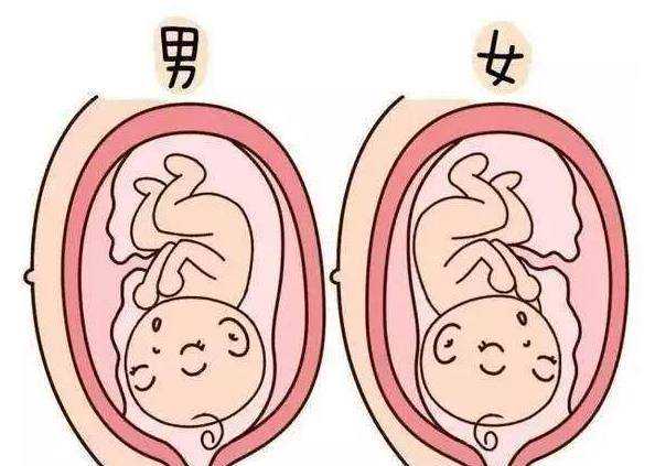 代怀孕包成功价格_代怀网哪家机构好_青岛哪家三甲公立医院能做试管婴儿?