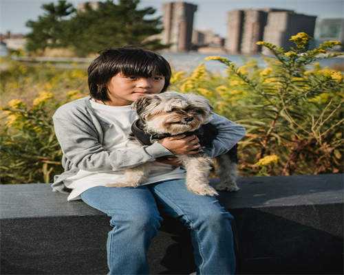 代怀价格表哪里有_捐卵代怀_榆林试管婴儿成功率排名
