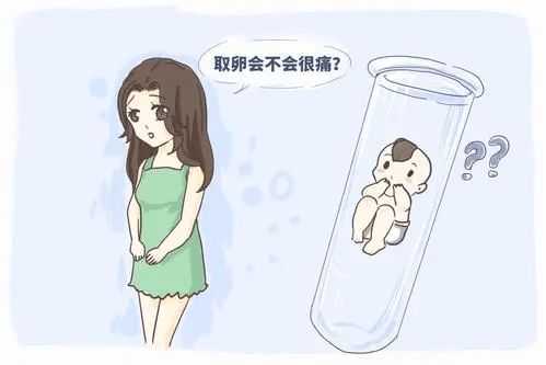 南昌大学人民医院试管费用明细,南昌市试管婴儿费用多少？有哪些注意事项？
